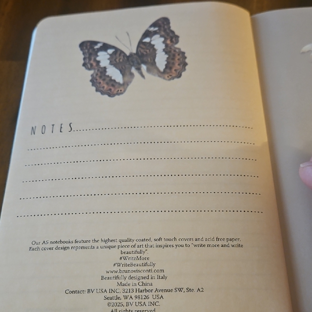 Bruno Visconti Insect & Butterfly Design Journal. - Picture 4 of 6